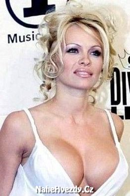 Nahá Pamela Anderson. Fotka - 11
